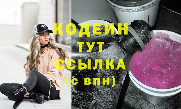 шишки Анива