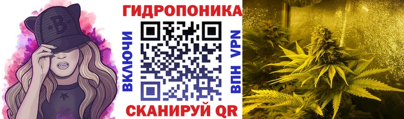 Бошки Шишки сатива  Артёмовск 